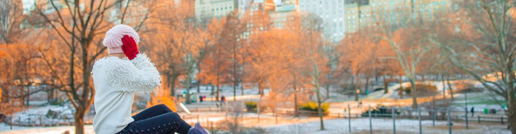 Navidad en New York: Una Celebración Mágica en la Gran Manzana 9 Barrio Bronx