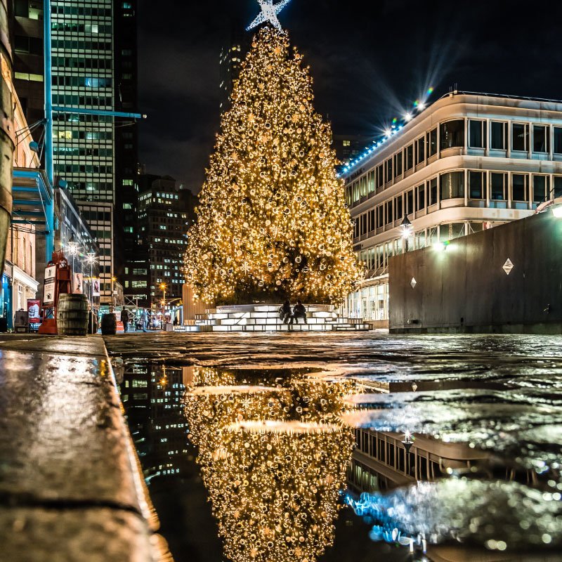 Navidad en New York: Una Celebración Mágica en la Gran Manzana 2