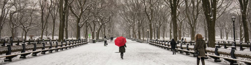 Top 8: Qué Hacer en Nueva York para Fin de Año 3 Qué Hacer en Nueva York para Fin de Año