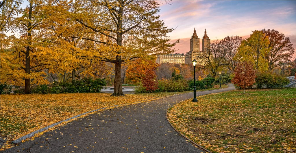 Consejos para viajar a Nueva York en octubre 2 Viajar a Nueva York en Octubre, Central Park