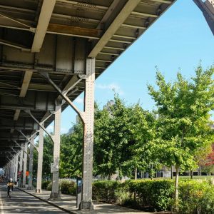 contrastes nueva york